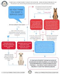 But to be a quality service dog, a dog not only has to learn to perform specific tasks, but they must also be skilled at public access (pa) tasks. Faq S California Service Dog Academy