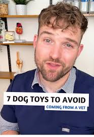 2025 Boerboel Champion Showcase