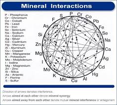 Health Benefits Of Vitamins Minerals Trace Minerals