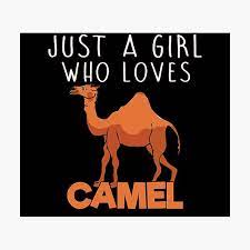 What if i told you i got you no birthday gift? Camel Wall Art Redbubble