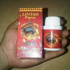 Hasil gambar untuk minyak lintah papua