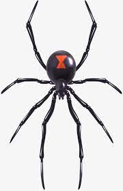 Toys Spider Toys Clipart Spider Clipart Toy Png Transparent Clipart Image And Psd File For Free Download Spider Tattoo Black Widow Tattoo Black Widow Spider Tattoo