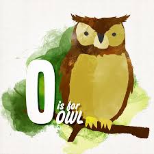 O Is For Owl Hoot By Peter Costello Note The Subtle Shading Love Owl Art Owl Hoot Owl