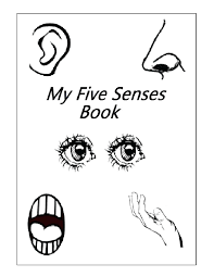 Practice by filling in answers on our science worksheets. Five Senses Activities Forrgarten Best Science Worksheet Free Printable Worksheets Pdf Preschool Space Ideas Toddlers Educational Alphabet Games Halloween Printables Samsfriedchickenanddonuts