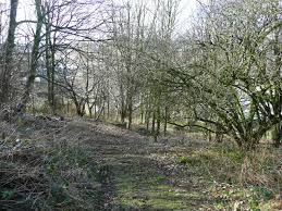 Bank at your local post office you can also do your everyday banking at your local post office, such as check your balance, make withdrawals and pay cash or cheques into your current account at post office counters. Halifax 911