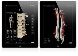 Spine Pro Complete Anatomy