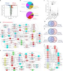 Ulcerative Colitis Mucosal Transcriptomes Reveal