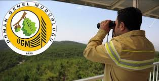 Orman genel müdürlüğüpersonel i̇stihdamı i̇ş başvurularının alınması. Ogm 4 996 Sozlesmeli Personel Alimi Basvurulari Basladi Orman Genel Mudurlugu Basvuru Sartlari