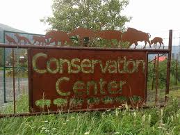 Set on over 69 hectares (170 acres) of land, the center is dedicated to education and the preservation of alaskan wildlife, housing an assortment of endangered animals native to the state. Wildlife Iceberg Kayak Adventure Chugach Adventures