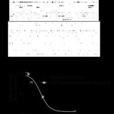 Thefreedot, tshepang 88, fabes and 37 others. Pdf Comparison Of The Acute Inhibitory Effects Of Tetrodotoxin Ttx In Rat And Human Neuronal Networks For Risk Assessment Purposes
