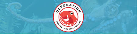 Octopuses also seem to be experts at escaping — they have extremely soft, flexible bodies and can escape through holes not much bigger than their eyes. Octopus On Tumblr
