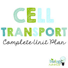 One way flow energy used changes shape of molecule being actively transported across a membrane. Cell Transport Unit Plan Supports Digital Store Biology Roots