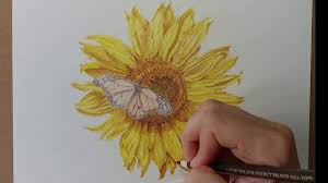 Pencil Drawing Of Sunflower Drawing Art Ideas Hey guys, thank you for being here!