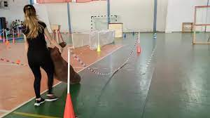 Maybe you would like to learn more about one of these? Cum Arata Probele Sportive De La Academia De Politie Si Academia Militara