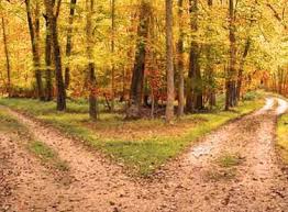 Two Roads Diverged In A Yellow Wood Is The Opening Line Of The Poem The Road Not Taken By Robert Frost Besides Being The Road Not Taken Robert Frost Photo