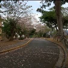 Ucr End Of The Summer Riverside California Riverside Favorite Places