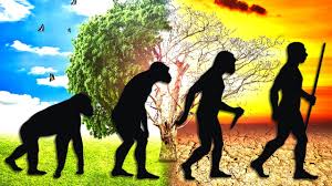 Image result for extinction of man
