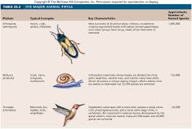 Trends In Animal Evolution