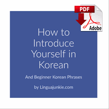The languages you speak 4. Korean Phrases How To Introduce Yourself In Korean