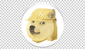 Price chart, trade volume, market cap, and more. Shiba Inu Dogecoin Cryptocurrency Internet Meme Doge Coin Carnivoran Pet Dog Like Mammal Png Klipartz