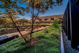 Ist Das Nicht Traumhaft So Grun Mitten In Munchen Bei Der Besichtigung Einer Absoluten Traumwohnung Mitten In Der Munchner Inn In 2020 Dachgarten Garten Design Garten