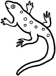Keep your kids busy doing something fun and creative by printing out free coloring pages. Lizard Coloring Sheets Coloring Home