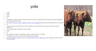Pin By Vocab Pic On Vocabulary Cards Vocabulary Flash Cards Vocabulary Cards Yoke