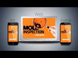 If the mold is in your walls, it's in your air and the dust that floats in the air. Free Mold Inspection App Lietotnes Pakalpojuma Google Play