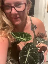 Green💚 or Red❤️ and Why?