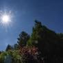 Germany Faces Record Heatwave with Health Risks and Storm Threats