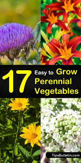 Mix in aged compost before planting anything. 17 Perennial Vegetables To Pinch Pennies And Eat Like A King