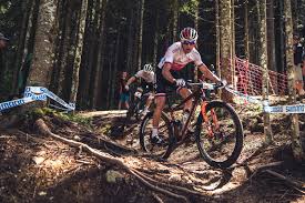 Jun 14, 2021 · in the men's race, flueckiger joined an elite group of three leaders along with ondrej cink and anton cooper. Flueckiger And Cink Duel In Fantastic Elite Men S World Cup Xco Canadian Cycling Magazine