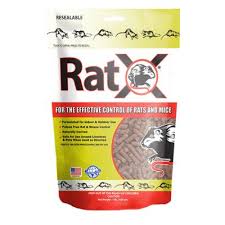 Let the treatment dry out completely and then ventilate the room(s) thoroughly some pest control companies advise to remove the pet bedding, food, water bowl and toys also. Mouse Pest Control Garden Center The Home Depot