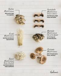 home cook s guide to mushrooms gelson s