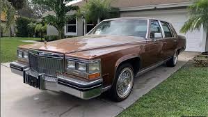 Image result for Brown 1984 Fleet
