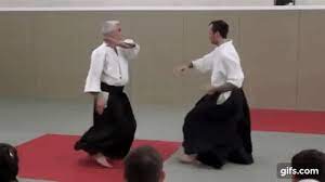 Dkdvqk Gif 480 270 Pixeles Self Defense Martial Arts Martial Arts Aikido