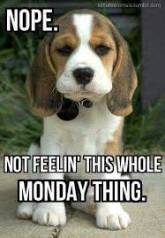 Nope Not Feeling This Monday Thing Funny Monday Memes Morning Quotes Funny Monday Humor