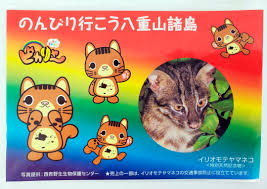 イリオモテヤマネコ グッズ