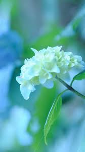 We did not find results for: Hd Samsung Galaxy Wallpapers Group 86