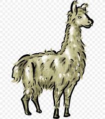 Over 2,000 clip art related categories to choose from. Llama Clip Art Png 649x931px Llama Black And White Camel Like Mammal Cartoon Drawing Download Free