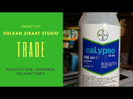 Bayer Calypso Od 240 Bitkisel Ilac Tarim Ilaci Bocek Ilaci En Iyi Elma Ic Kurdu Ceviz Kurt Ilaci Youtube