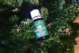 How To Keep A Christmas Tree Fresh Naturally Esential Oils Christmas Christmas Tree