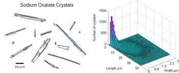 2 D Sizing Of Sodium Oxalate Crystals By Automated Optical Image Analysis Sciencedirect