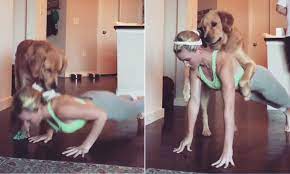 Dog bothers NC woman as she does push-ups in living room | Daily Mail Online