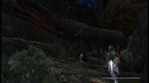 They are not hostile, but will be scared away easily, making their study and capture difficult. Monster Hunter World How To Catch All Rare Endemic Life Steamah