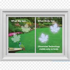Vorsicht glas pdf versand hinweisaufkleber 10 etiketten selbstklebend vorsicht glas paket war youtube christian an edition of vorsicht, glas! Fenster Abziehbild Vogel Glas Aufkleber Korperliche Blatt Png Herunterladen 1200 1200 Kostenlos Transparent Bilderrahmen Png Herunterladen