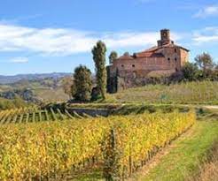 A wine and food tour here is a unique and unforgettable experience to have in italy. Italian Wine Regions