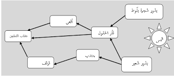 رسم بياني رسم شبكة غذائية