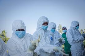 OMS indica que surto de Ebola está 'fora de controle', com mortes que não estavam na lista de rastreamento