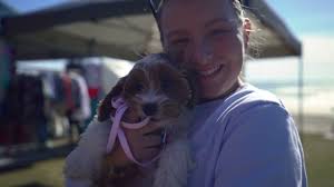 Ride the Wave Festival After Movie 2022